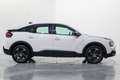 Citroen C4 1.2 PureTech Plus S&S 130 Blanc - thumbnail 7