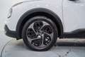 Citroen C4 1.2 PureTech Plus S&S 130 Blanc - thumbnail 11