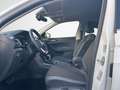 Volkswagen T-Cross Style IQ-Drive Virtual Cockpit R-Kamera Weiß - thumbnail 9