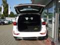 SsangYong Rexton Rexton Sapphire 2.2 D 8AT 4WD Facelift Elegance Al Weiß - thumbnail 6