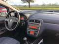 Fiat Grande Punto 2009 5p 1.4 natural power Dynamic 77cv benz\metano Bianco - thumbnail 7