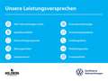 Volkswagen Tiguan 2.0 TDI R-Line 4Motion IQ.LIGHT+NAVI+RFK Weiß - thumbnail 6
