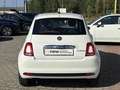Fiat 500 MY23 1.0 Klima & Sound Tech & Komfortpaket Weiß - thumbnail 4