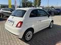 Fiat 500 MY23 1.0 Klima & Sound Tech & Komfortpaket Weiß - thumbnail 2