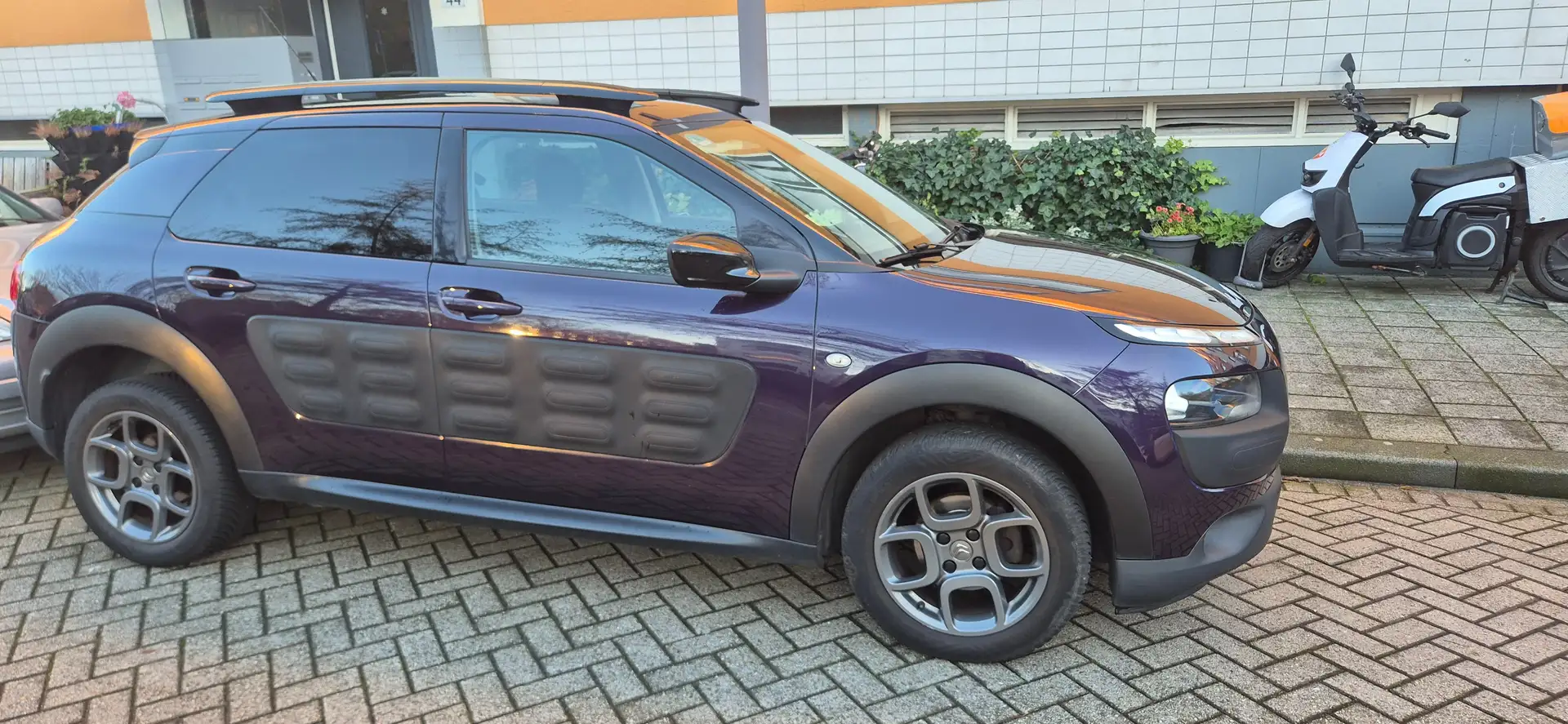 Citroen C4 Cactus C4 Cactus 1.2 PureTech Shine Paars - 2