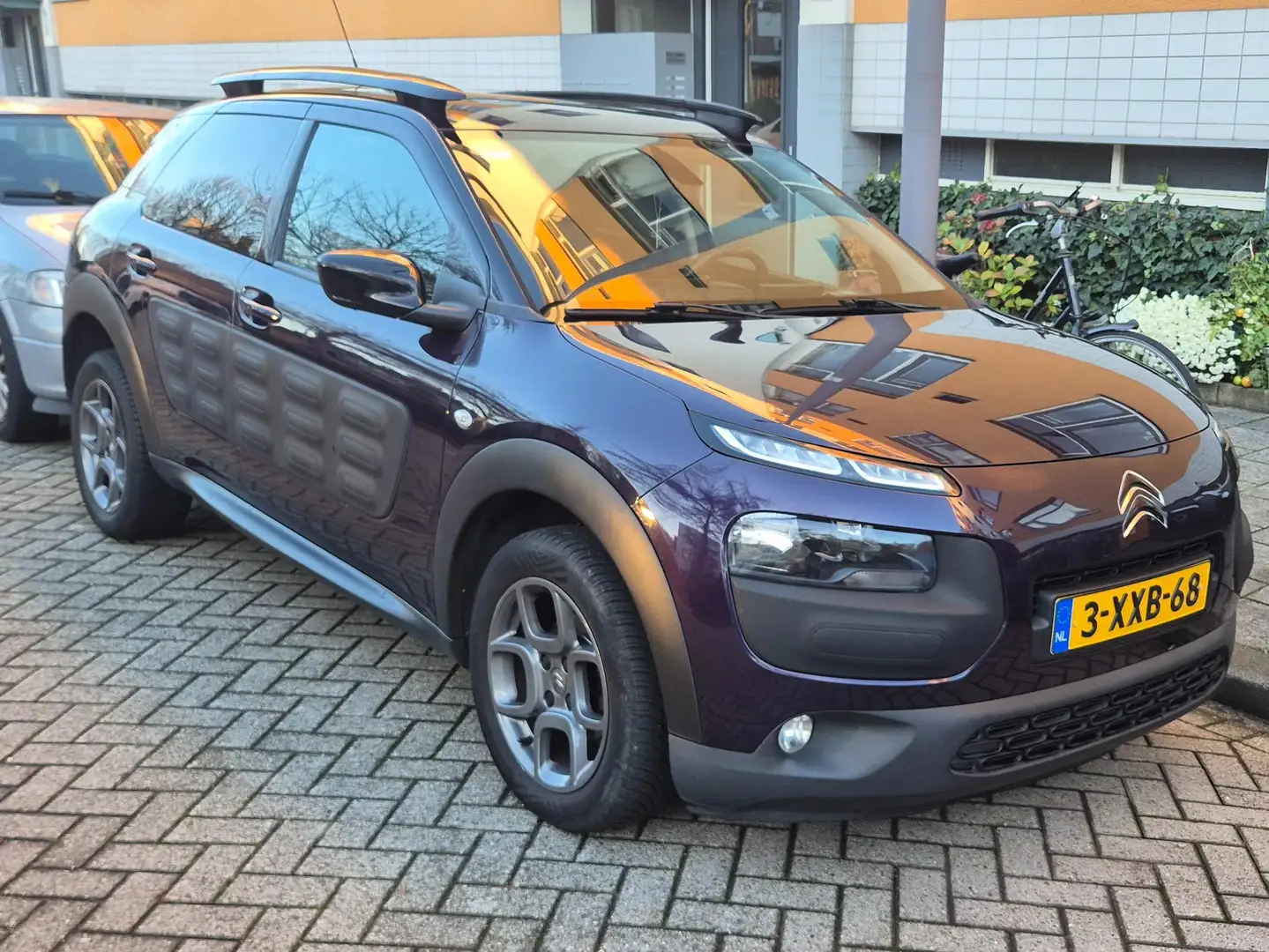 Citroen C4 Cactus C4 Cactus 1.2 PureTech Shine Paars - 1