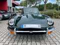 Jaguar E-Type 4.2  2+2 - 3-Vergaser -Topzustand Verde - thumbnail 4