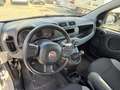 Fiat Panda Panda III 2021 1.0 firefly hybrid s Gris - thumbnail 6