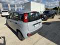 Fiat Panda Panda III 2021 1.0 firefly hybrid s Gris - thumbnail 3