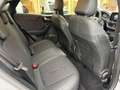 Ford Puma 1.0 EcoBoost Hybrid 125 CV S&S aut. TITANIUM Grau - thumbnail 9