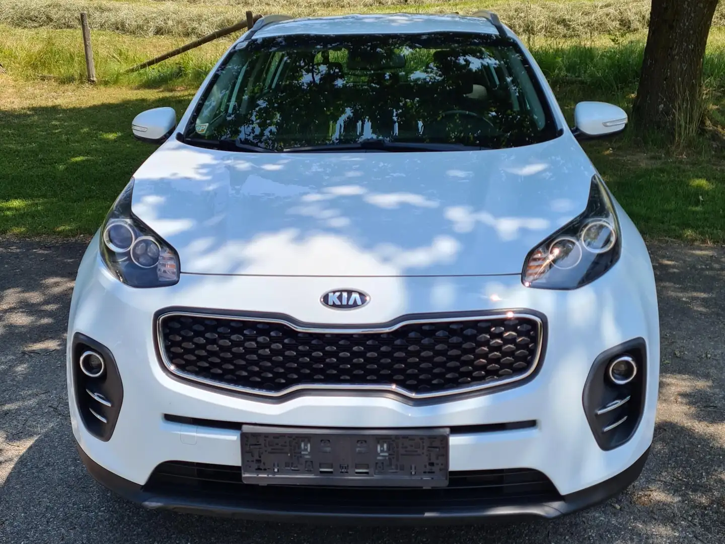 Kia Sportage Sportage 1,6 GDI ISG Silber Silber Weiß - 2