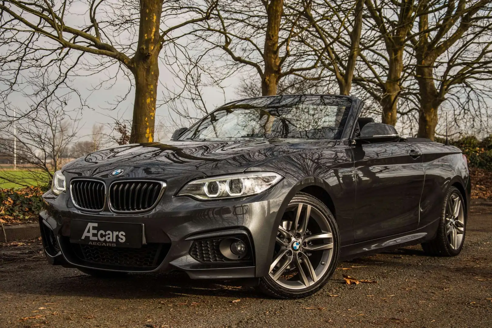 BMW 218 i CABRIOLET *** MANUAL / M PACK / BELGIAN CAR *** Gris - 1