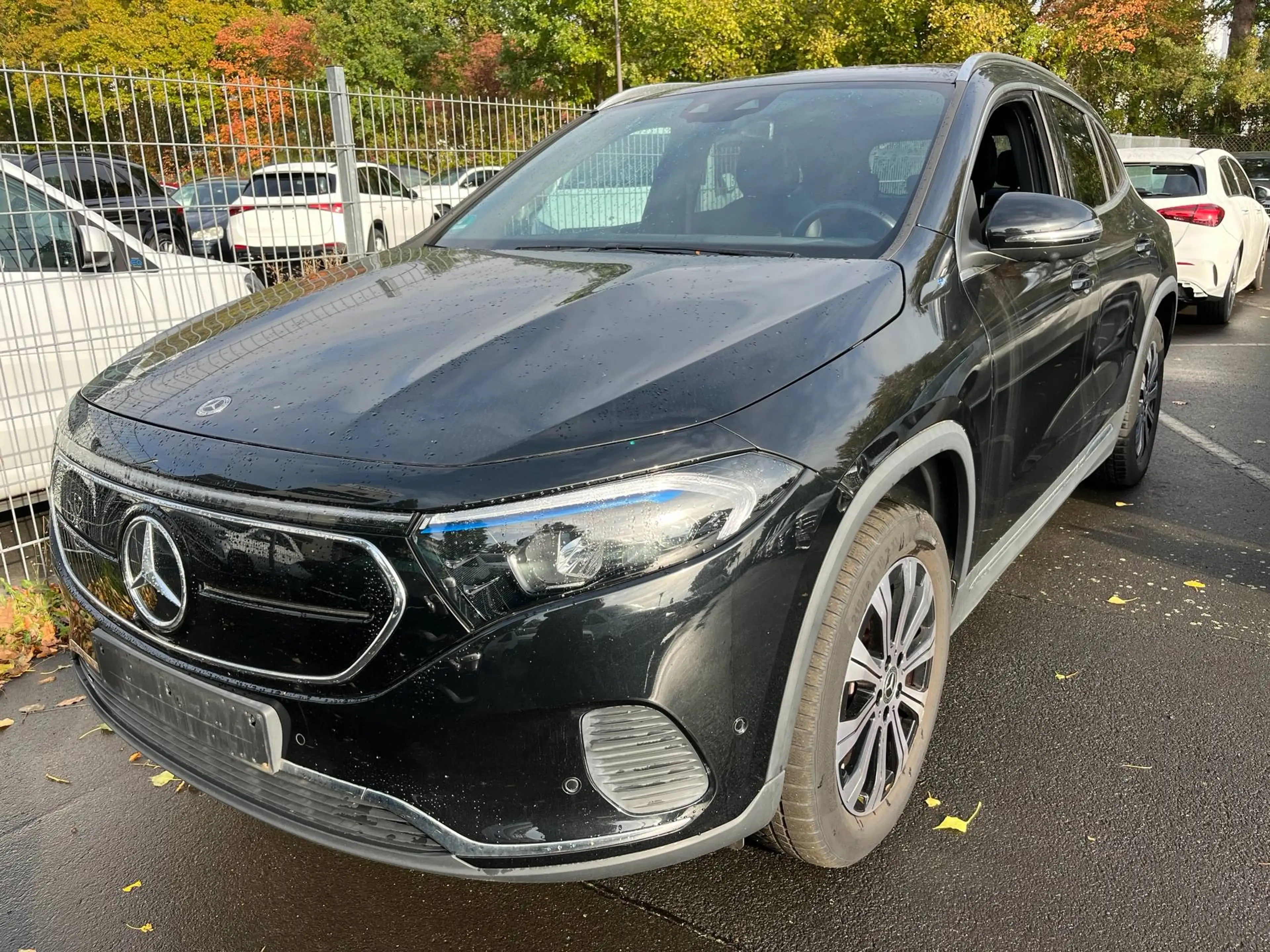 Mercedes-Benz EQA 250 EQA 250 (243.701)