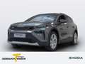 Skoda iV 85 Lodge Navi Matrix Canton Grau - thumbnail 1