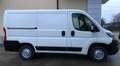 Peugeot Boxer L1 H1 2.0 HDI 130CV Blanc - thumbnail 4