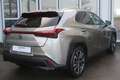 Lexus UX 250h Style Edition Silber - thumbnail 5