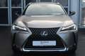 Lexus UX 250h Style Edition Silber - thumbnail 8