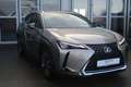 Lexus UX 250h Style Edition Silber - thumbnail 7