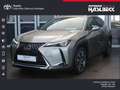 Lexus UX 250h Style Edition Silber - thumbnail 1