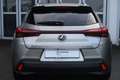 Lexus UX 250h Style Edition Silber - thumbnail 4
