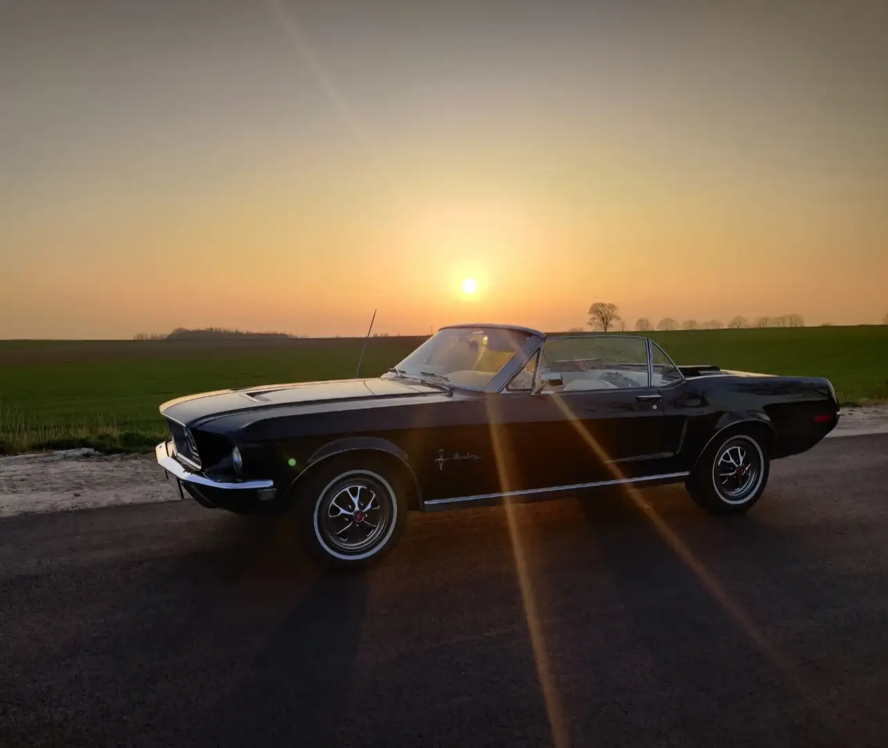 Ford Mustang 4.9i V8 GT - 2