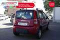 Fiat Panda Panda 1.2 Climbing Natural Power Unicoproprietario Lilla - thumbnail 13