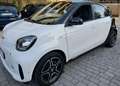 smart forFour eq Pulse 22kW - thumbnail 1