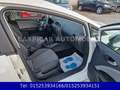 SEAT Leon 1,2 Reference Ecomotive,KLIMA,PDC,8 FACH B. Weiß - thumbnail 18