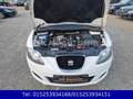SEAT Leon 1,2 Reference Ecomotive,KLIMA,PDC,8 FACH B. Weiß - thumbnail 10