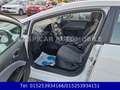 SEAT Leon 1,2 Reference Ecomotive,KLIMA,PDC,8 FACH B. Weiß - thumbnail 12
