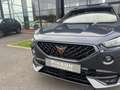 CUPRA Formentor Formentor 1.5 16V TSI - 150 - BV DSG 7  V PHASE 1 Grau - thumbnail 10