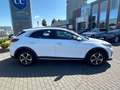 Kia XCeed 1.6 Vision Kamera+Bi-LED+Klima2Z+wenige KM Weiß - thumbnail 8