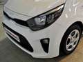 Kia Picanto 1.0 DPi 49kW (67CV) Concept Blanco - thumbnail 7