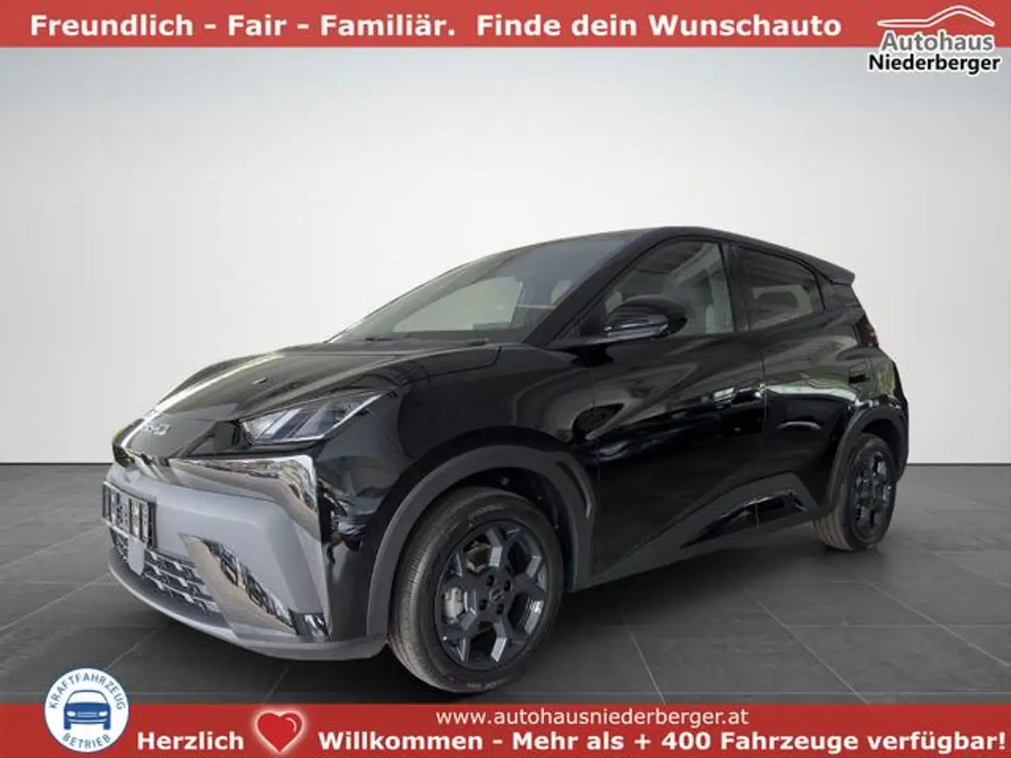 BYD Dolphin Surf Comfort/ACC/LEDER/360°/SHZ/NAV/ 115 kW (156 PS)... Schwarz - 1