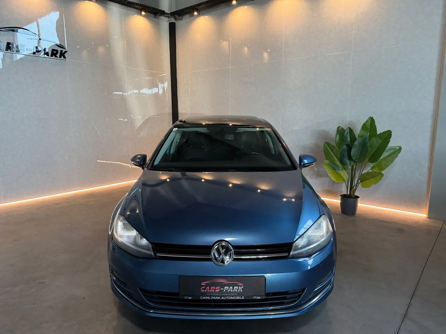 Volkswagen Golf Golf Sky 1,6 BMT TDI DPF Sky *Erstbesitz* Blau - 2