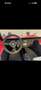 Volkswagen Buggy Rot - thumbnail 2
