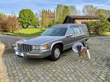 Corbillard V8 80000 km Belge car-pass " propulsion