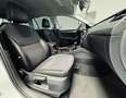 Skoda Octavia Combi Style DSG|SHZ|ACC|DCC|LED|NAVISPUR* Weiß - thumbnail 12