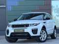 Land Rover Range Rover Evoque // Dynamic // Garantie // Rückfahrkamera Weiß - thumbnail 10