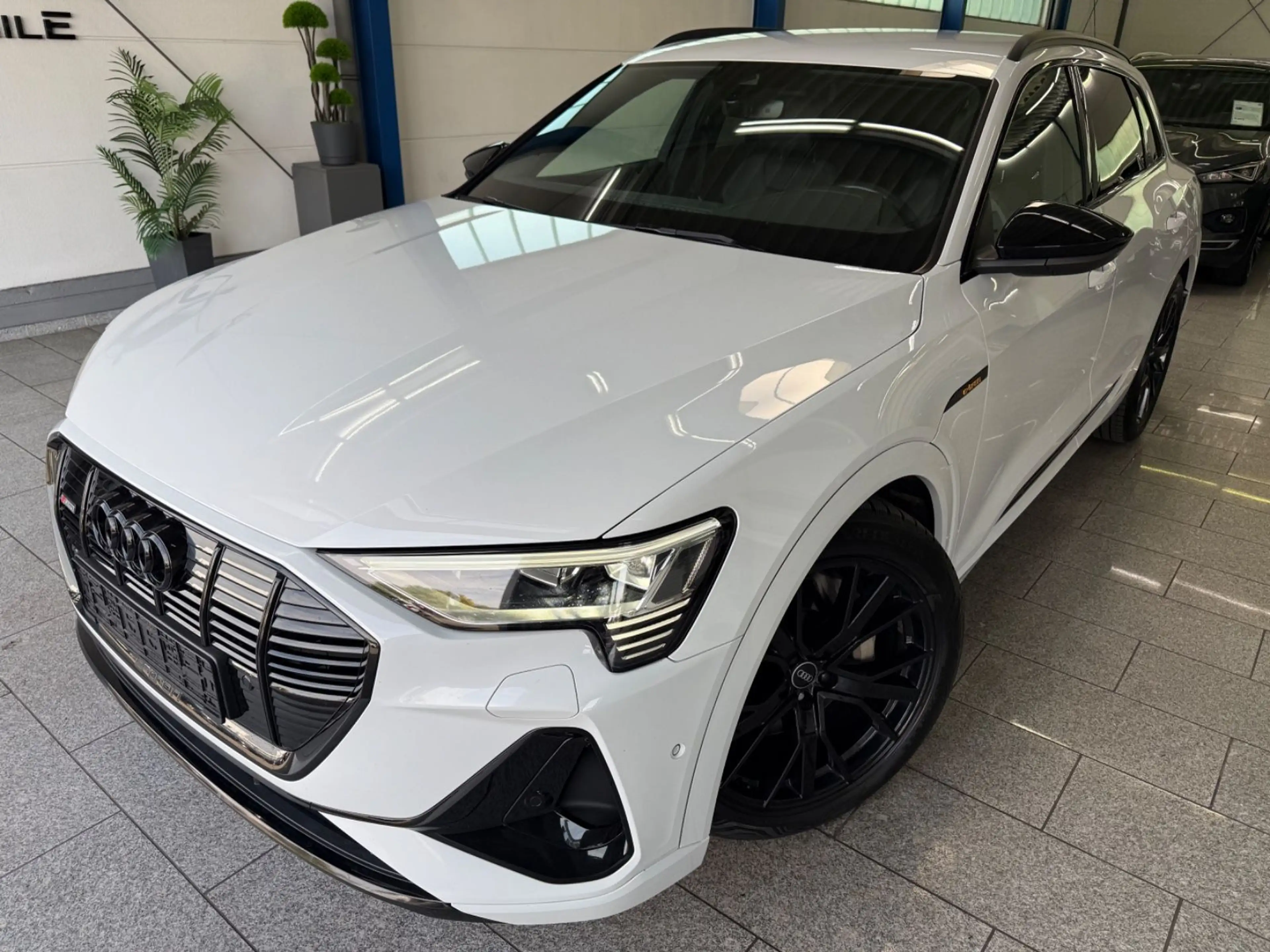 Audi e-tron 50*QUATT*S LIN*VIRT*ACC*MATR*CAM*KEYL*MMR — photo 7