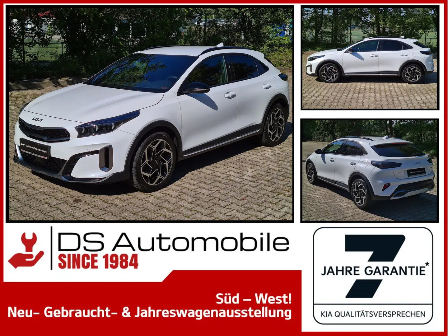kia xceed