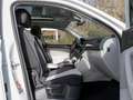 Volkswagen Tiguan 1.4 TSI DSG eHybrid Elegance PANORAMA NAVI AHK ... Weiß - thumbnail 3