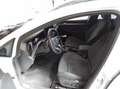 Volkswagen Golf VIII 1.5 eTSI Edition *HEAD-UP*PANO*MATRIX* Weiß - thumbnail 5
