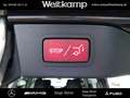 Mercedes-Benz V 300 V 300 d 4M AVANT. Lang LED+STHZ+AHK+360°+BURMES. Grau - thumbnail 9