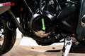 Triumph Street Triple 675 - thumbnail 13