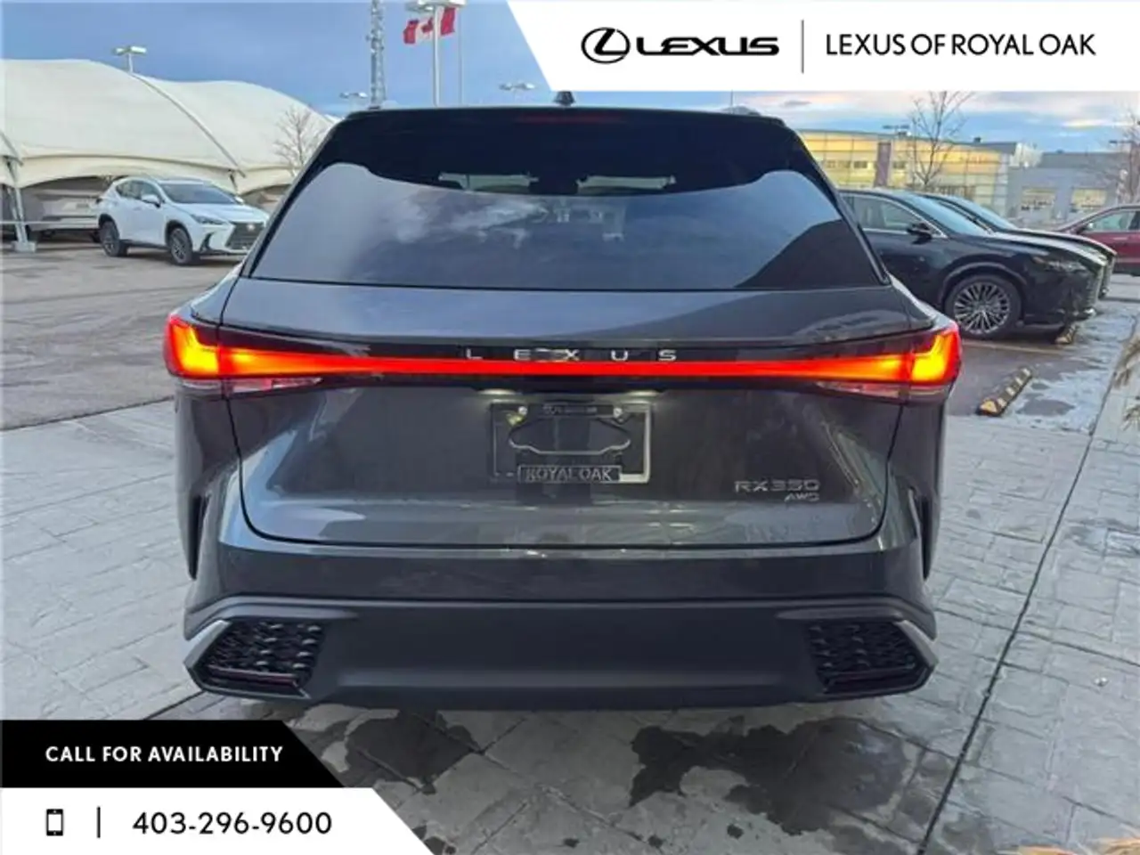 Lexus RX fotografie Lexus RX