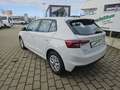 Skoda Fabia Selection 1.0 TSI LED 5 Jahre Garantie Blanc - thumbnail 3