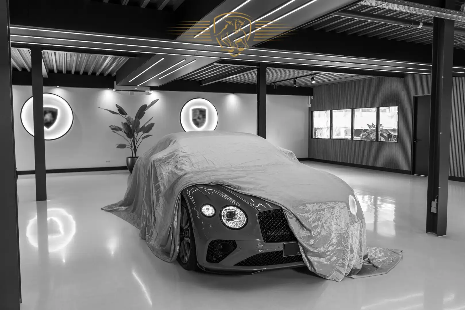 Mercedes-Benz C 63 AMG S Performance | Drivers Pack | AMG Line+ | Grau - 1