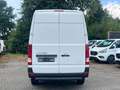 Hyundai H 350 L2H2 HOCH&LANG/LEDER/SERVICE+TÜV NEU Weiß - thumbnail 6