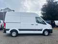 Hyundai H 350 L2H2 HOCH&LANG/LEDER/SERVICE+TÜV NEU Weiß - thumbnail 4